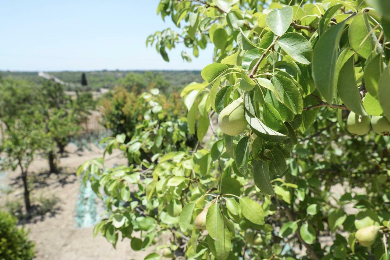Jardinu Pension Noto Buitenkant foto