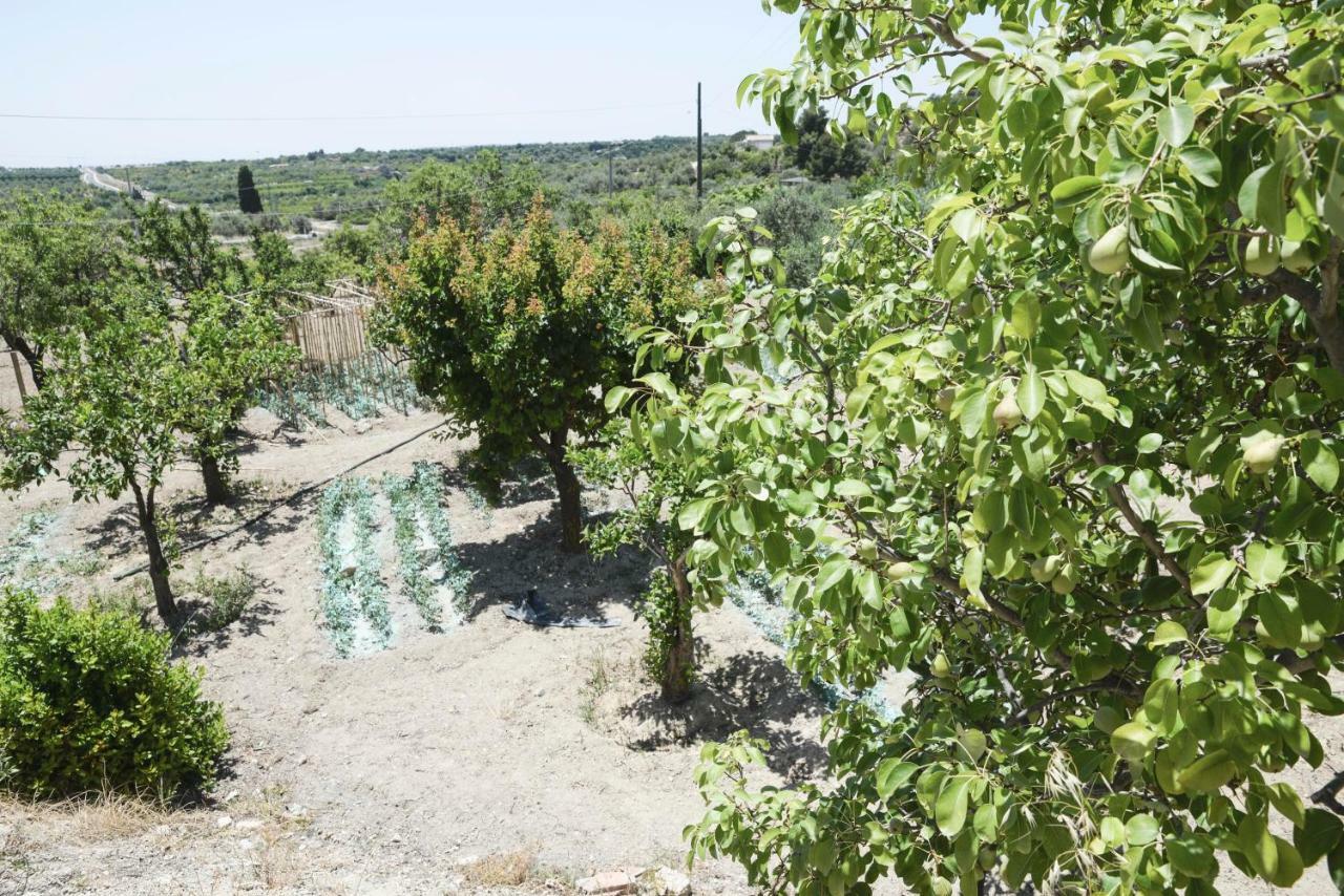 Jardinu Pension Noto Buitenkant foto