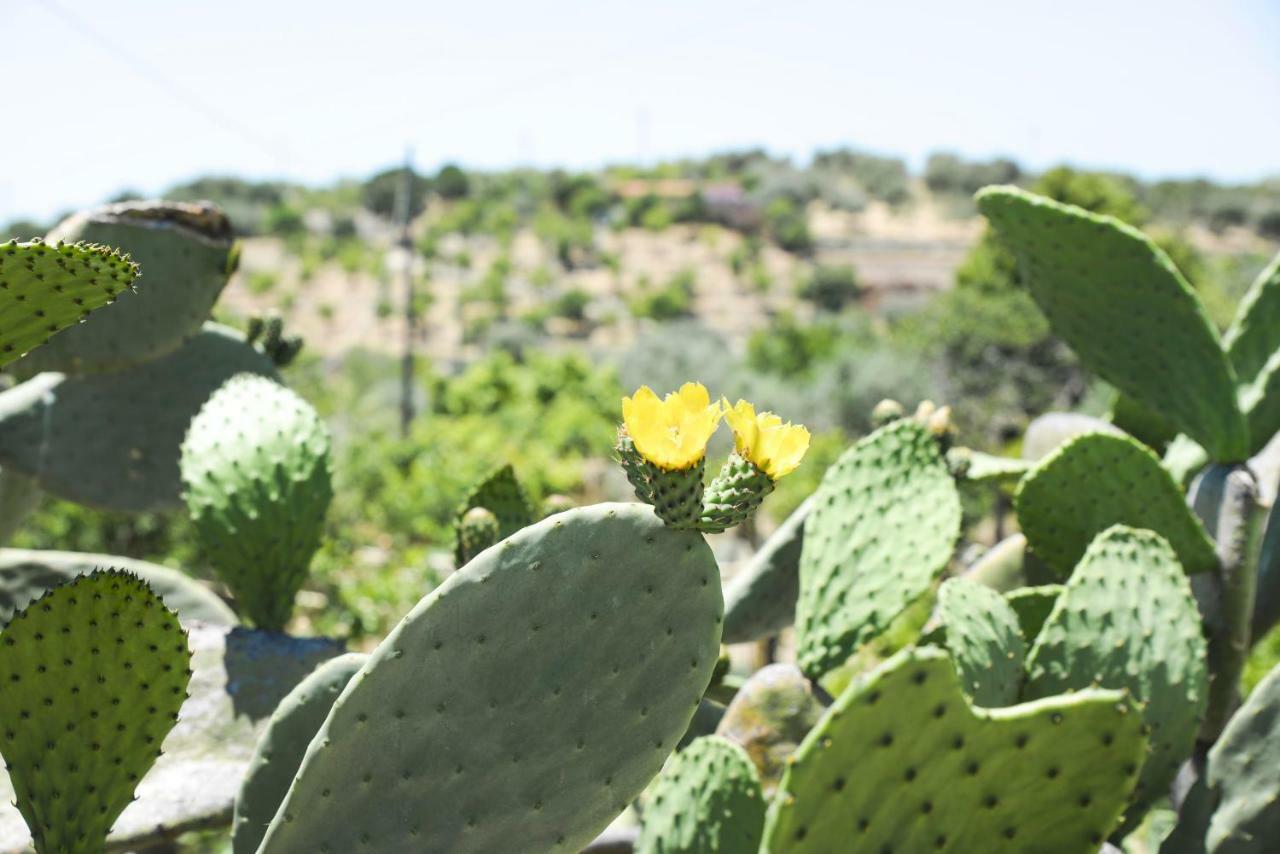 Jardinu Pension Noto Buitenkant foto