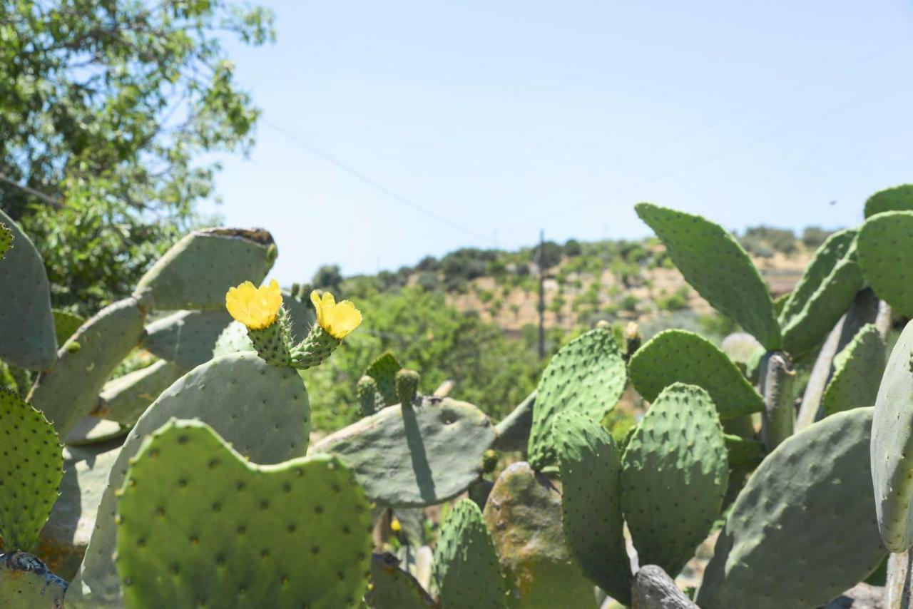 Jardinu Pension Noto Buitenkant foto